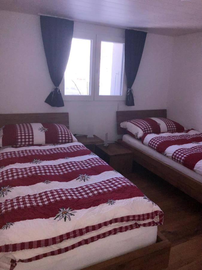 Chalet Felsenheim Villa Bellwald Bagian luar foto